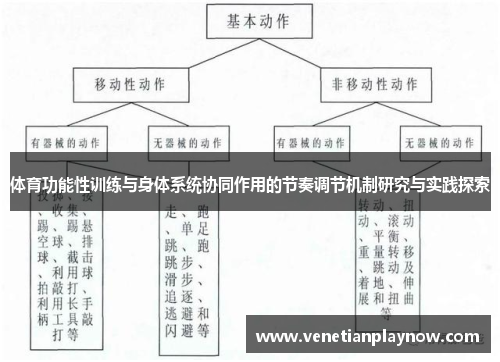 体育功能性训练与身体系统协同作用的节奏调节机制研究与实践探索