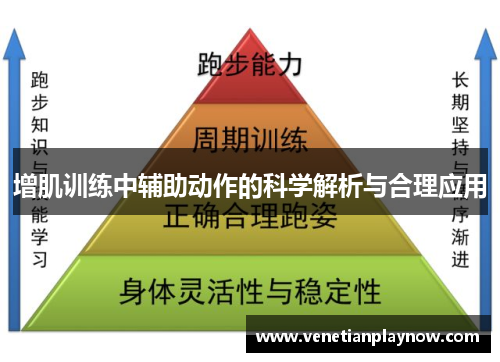 增肌训练中辅助动作的科学解析与合理应用