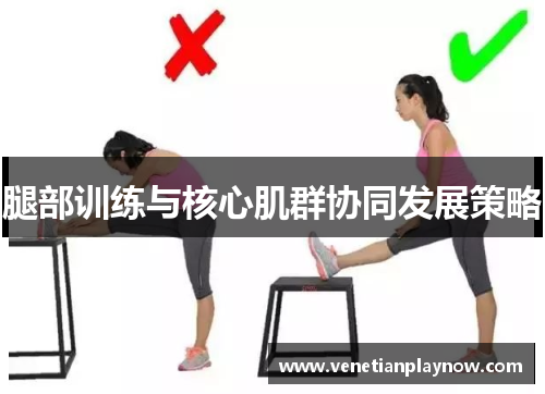腿部训练与核心肌群协同发展策略
